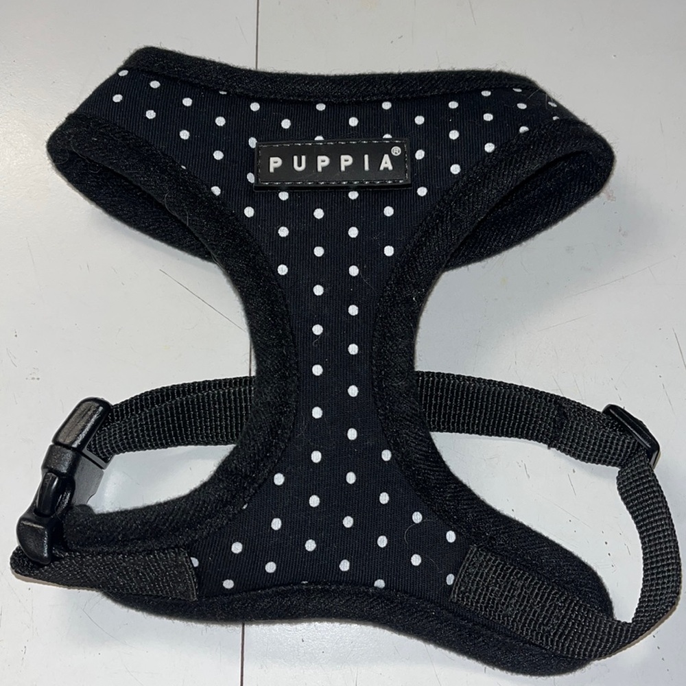 Polka Dot Puppy Harness